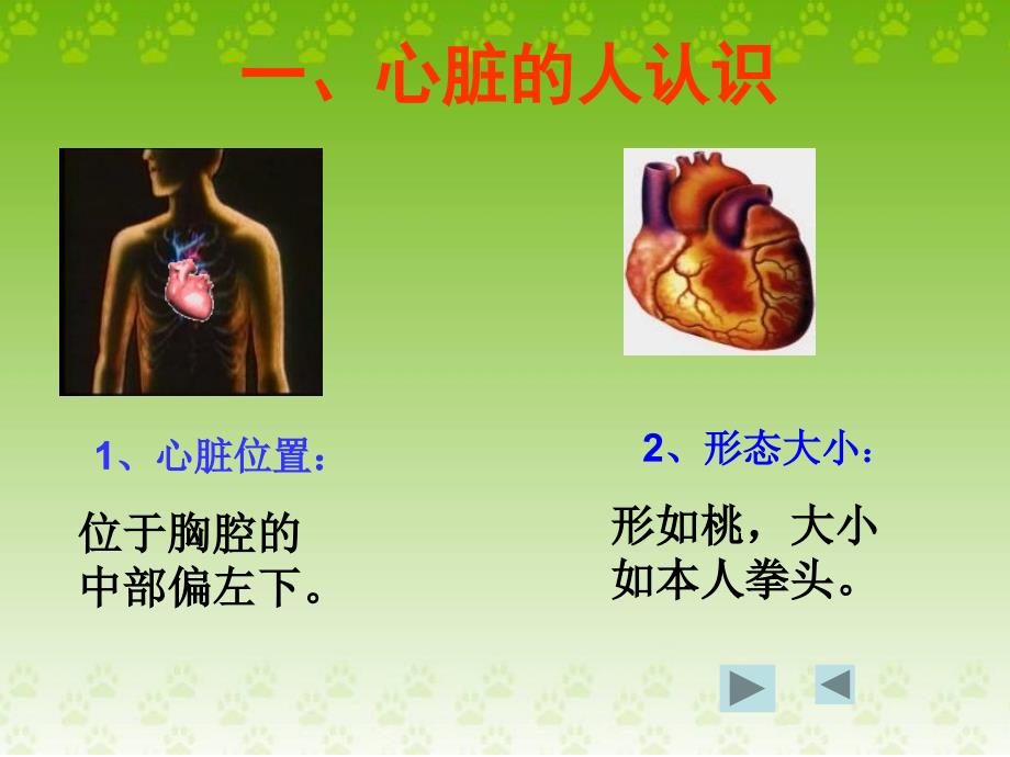 4、运动起来会怎样(二）_第2页