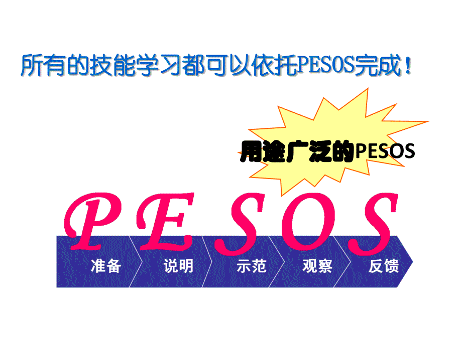 训练的流程——PESOS_第4页