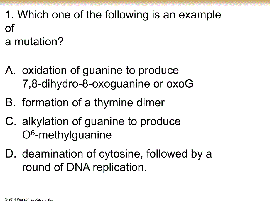 分子生物学资料：DNA repair_Questions_第2页