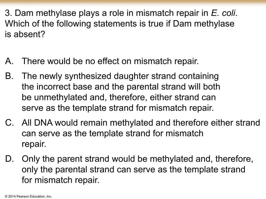 分子生物学资料：DNA repair_Questions_第4页