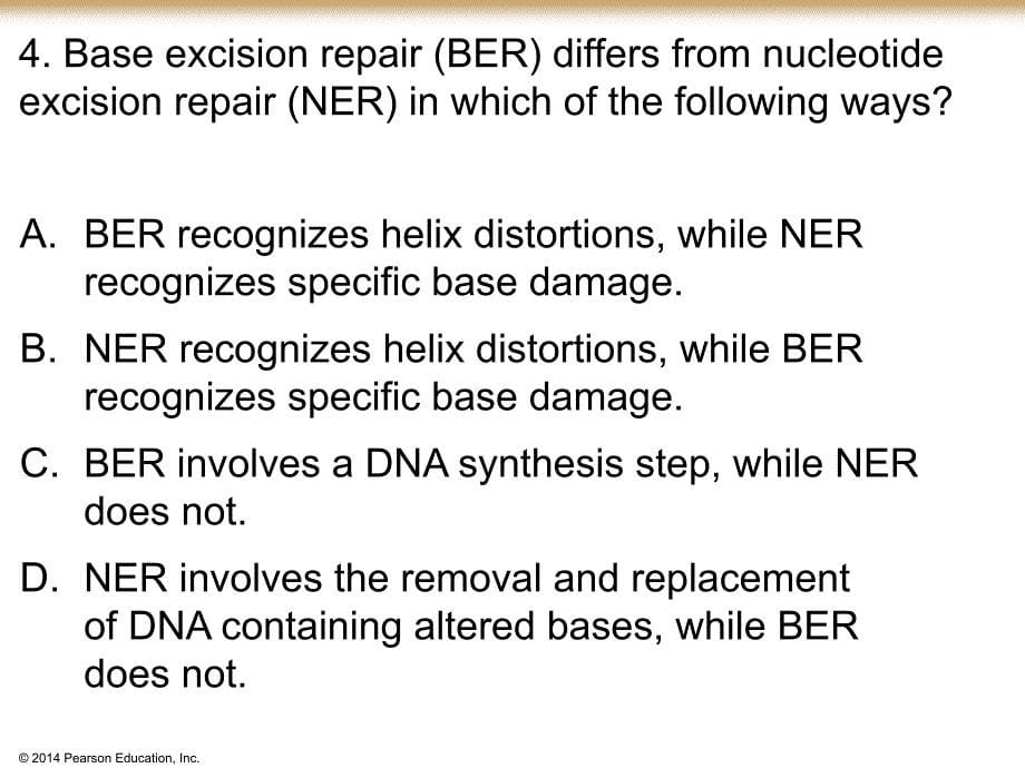 分子生物学资料：DNA repair_Questions_第5页