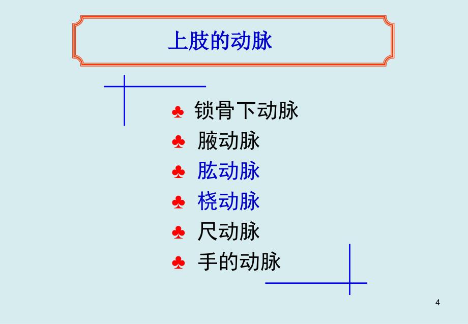 动脉采血部位解剖_第4页