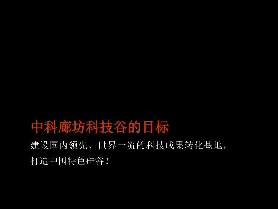 河北廊坊中科廊坊科技谷工业园定位策划报告103PPT_第5页