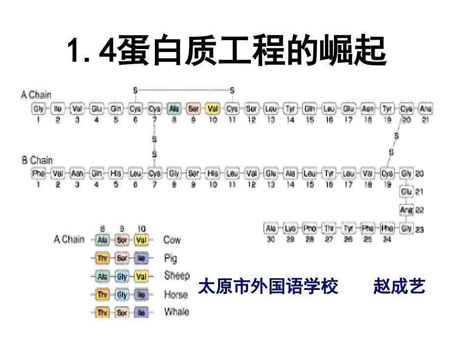 87154选修3专题1基因工程14蛋白质工程的崛起_第1页