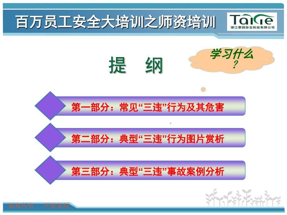 员工常见三违行为及事故案例分析课堂PPT_第2页