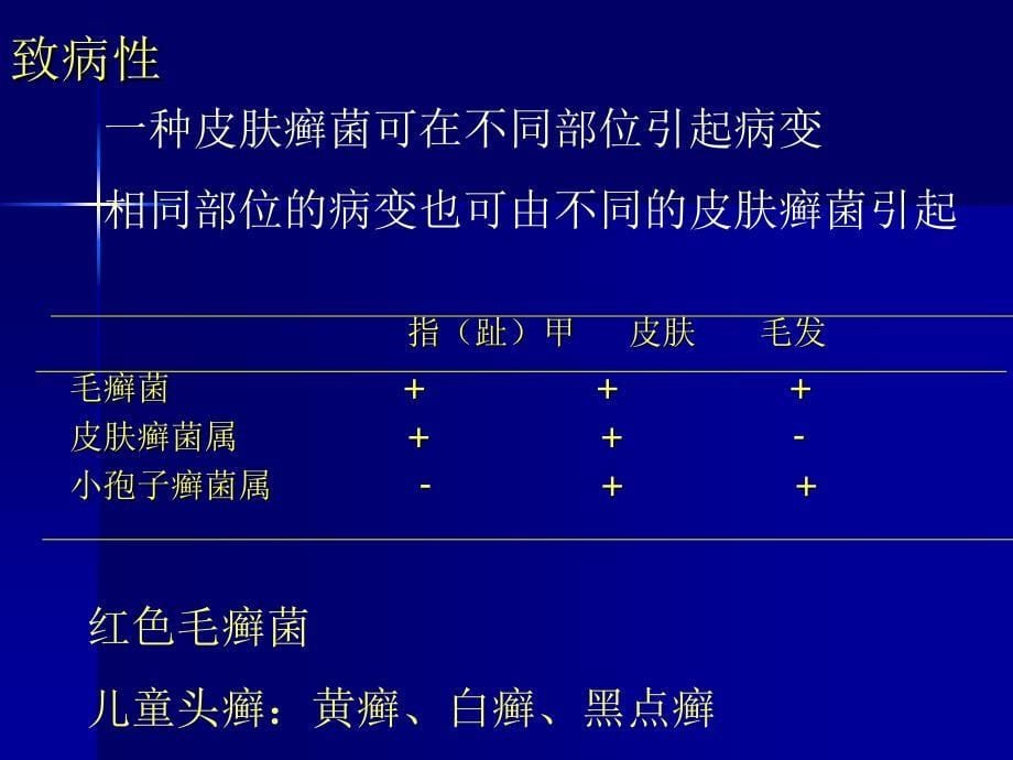 主要致病性真菌课件_第5页