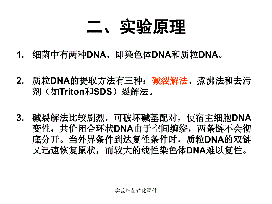 实验细菌转化课件_第3页