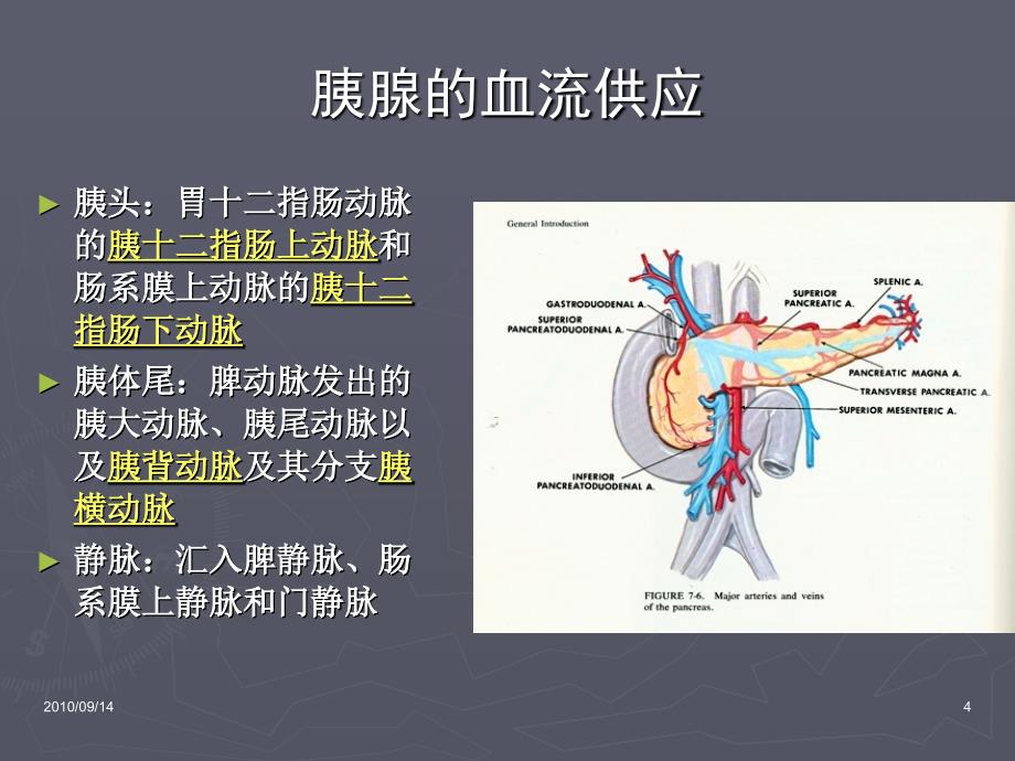 急性重症胰腺炎监测与护理_第4页