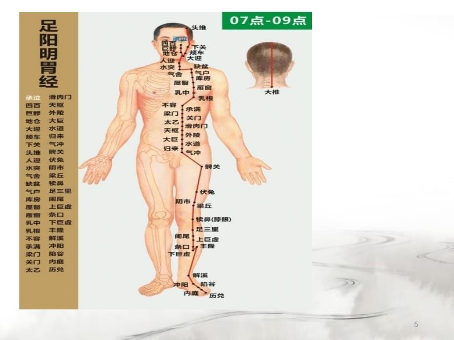 中医十二经络走向ppt课件_第5页