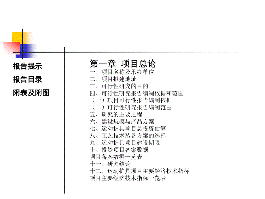 运动护具项目可行性研究报告_第3页