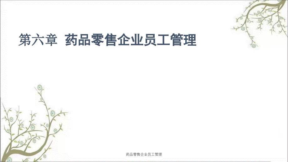 药品零售企业员工管理_第1页