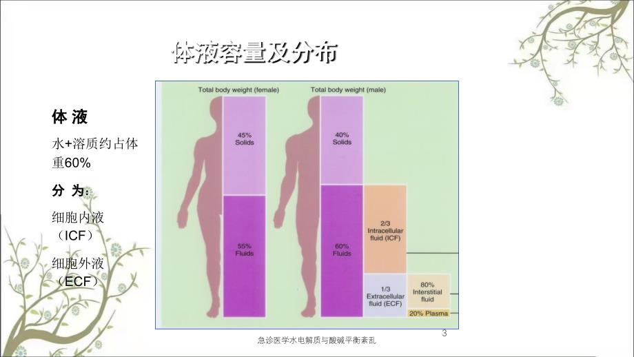 急诊医学水电解质与酸碱平衡紊乱课件_第3页