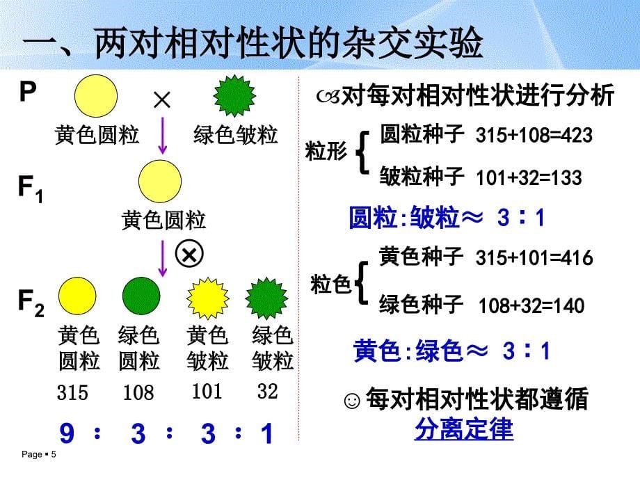 孟德尔豌豆杂交实验2_第5页