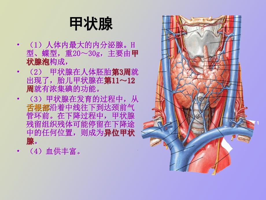 甲状腺疾病实验室检查_第2页