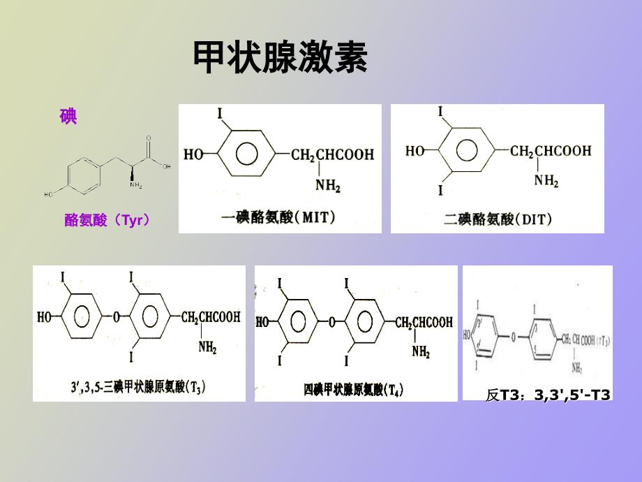 甲状腺疾病实验室检查_第3页