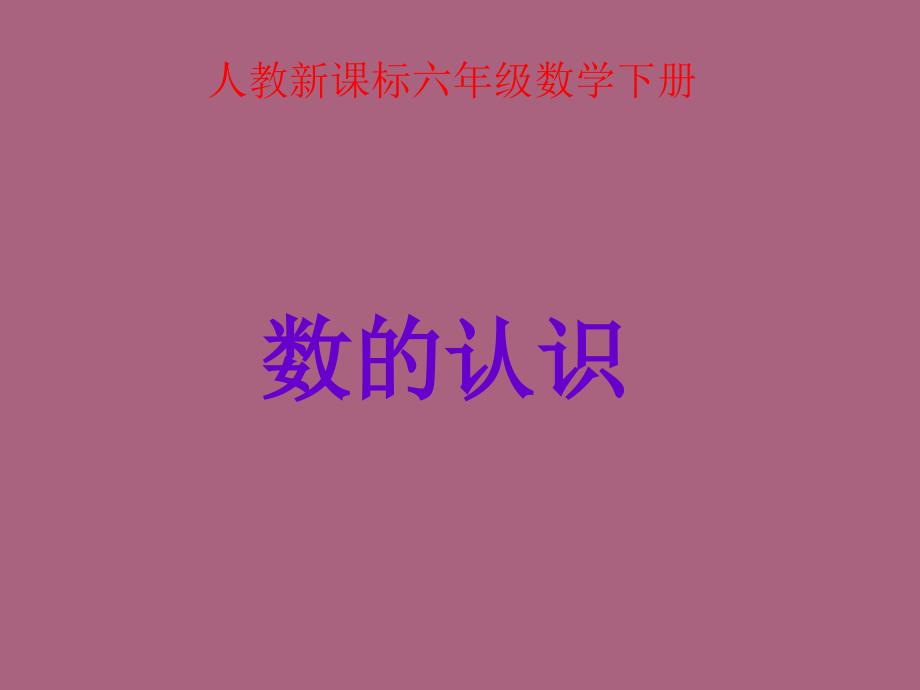 六年级下册数的认识总复习ppt课件_第1页