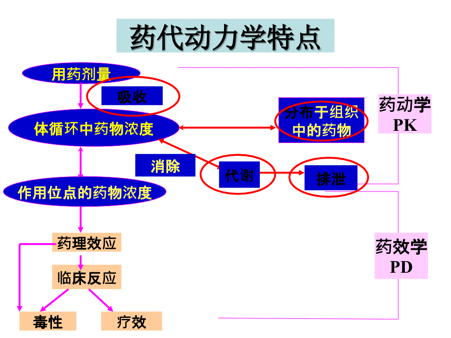 《妇产科用药指南》PPT课件.ppt_第3页