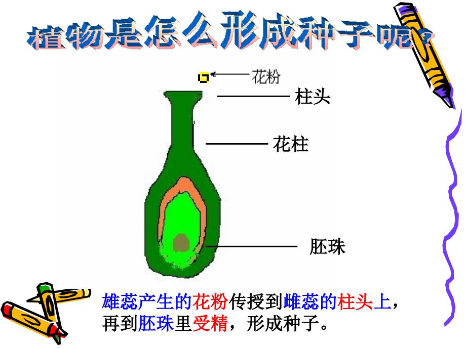 7动物的繁殖活动[1]_第3页