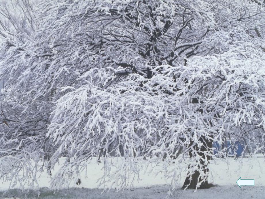 29湖心亭看雪_第1页