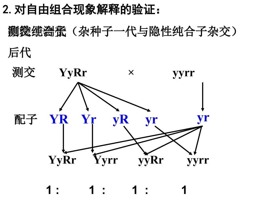 高中二年级生物必修2第一课时课件_第5页