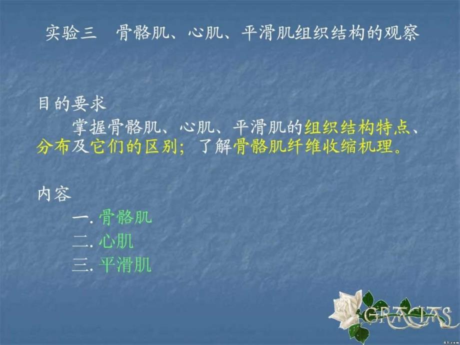 实验三骨骼肌心肌平滑肌构造的观察.ppt_第1页