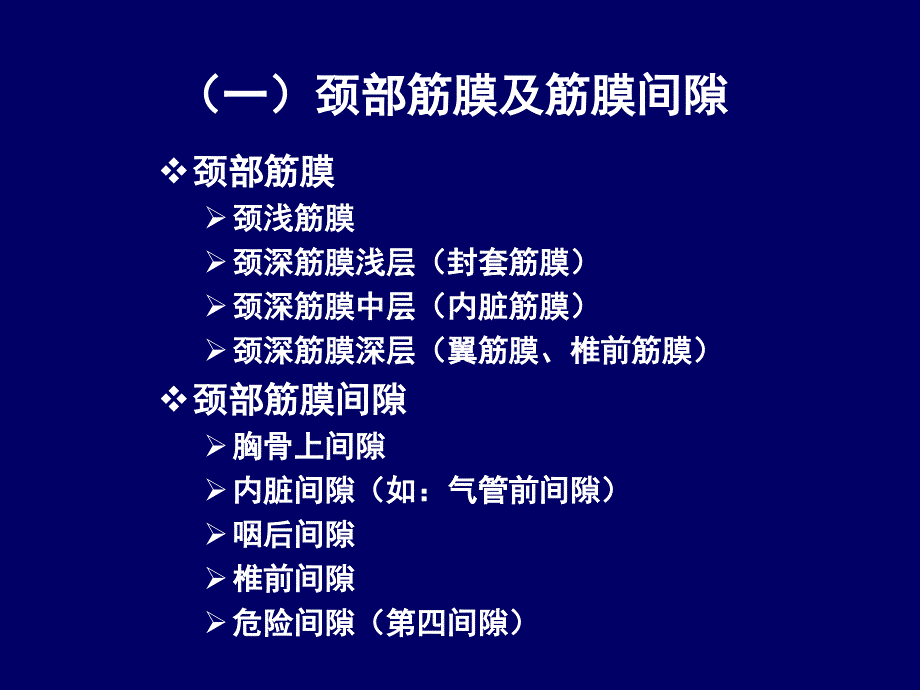 人体断层解剖学-颈部和喉的断层解剖_第3页