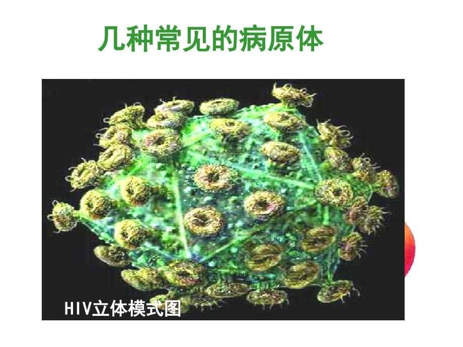 八年级生物传染病及其预防.ppt_第5页