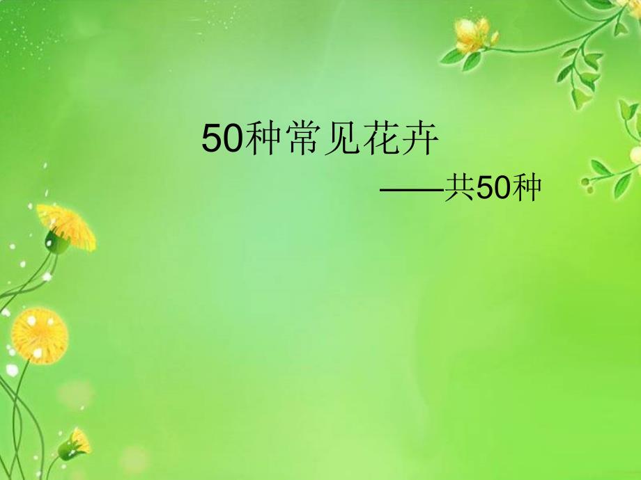 50种常见花卉_第1页