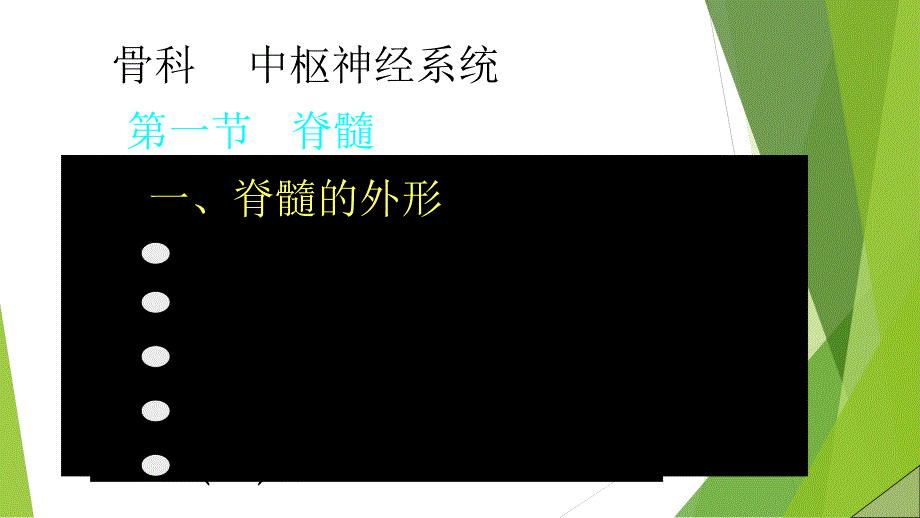 脊髓解剖彩色图谱_第1页