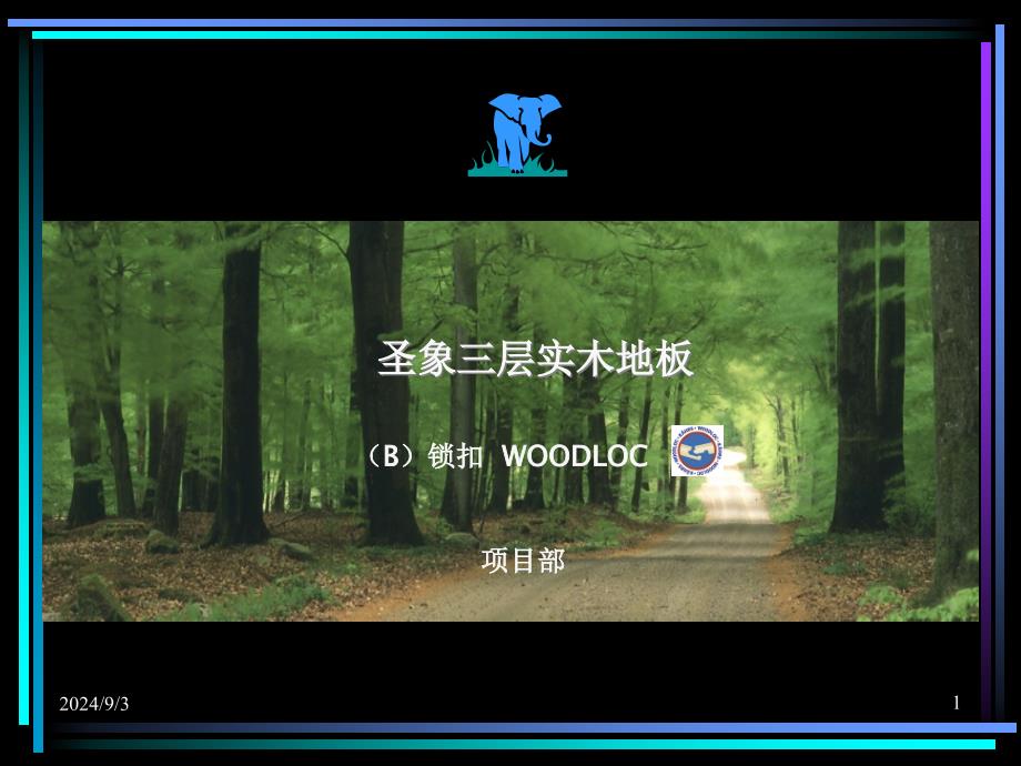 圣象三层实木地板(二)Woodloc锁扣_第1页