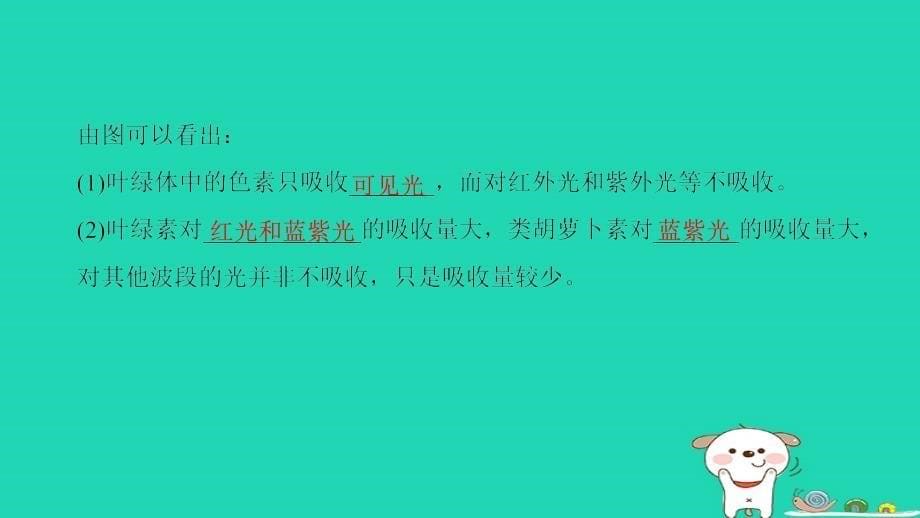 全国版高考生物一轮复习第3单元细胞的能量供应和利用第3讲光合作用(Ⅰ)课件_第5页