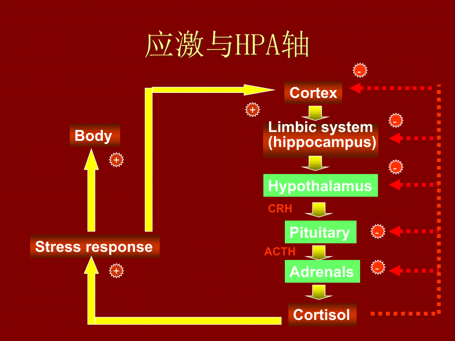 肿瘤患者的心理问题_第3页