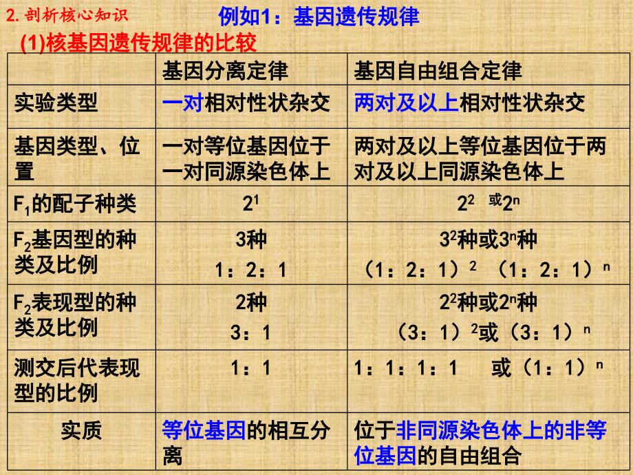 高考生物遗传规律专题复习课件新人教版_第3页