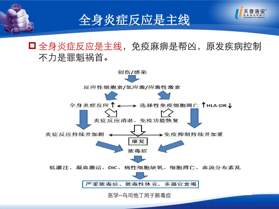 医学乌司他丁用于脓毒症课件_第4页