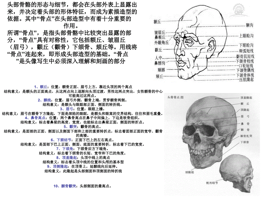 头骨解剖结构及规律_第3页