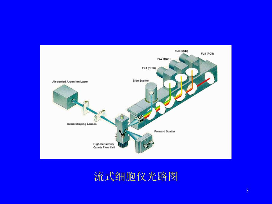 临床医学流式细胞术在临床血液学_第3页