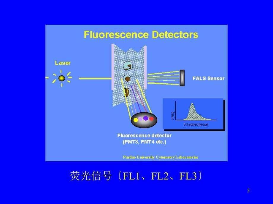 临床医学流式细胞术在临床血液学_第5页