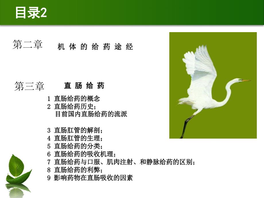 儿童绿色疗法-直肠给药.ppt_第2页