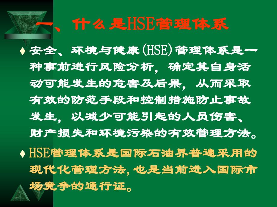 HSE管理体系介绍_第3页