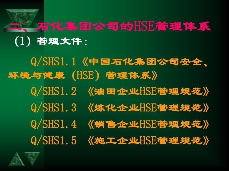 HSE管理体系介绍_第5页