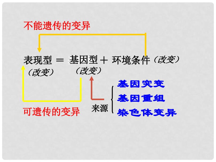 高中生物 5.1 基因突变和重组课件 新人教版必修2_第3页