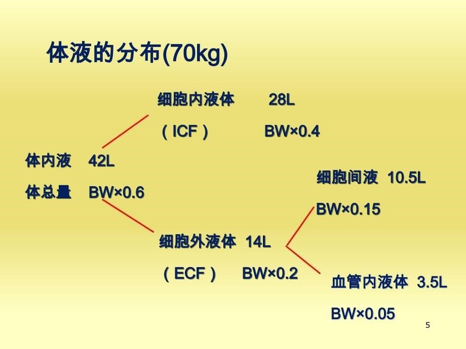 危重病人的液体管理ppt课件_第5页