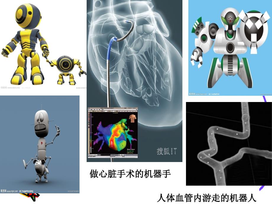 《走进科学殿堂》PPT课件.ppt_第3页