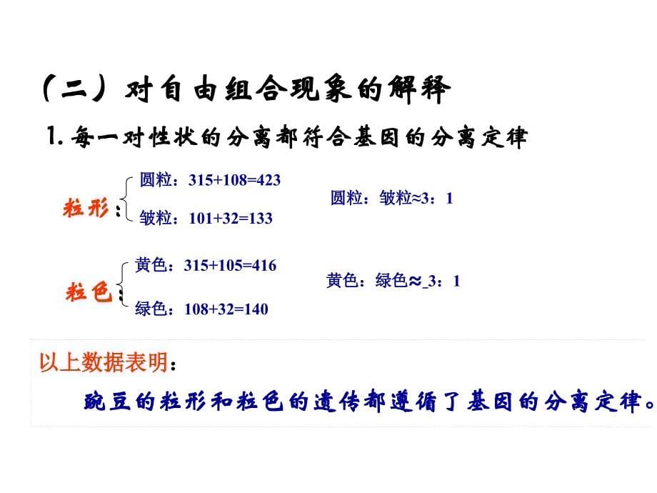 高一生物基因的自由组合定律.ppt_第5页