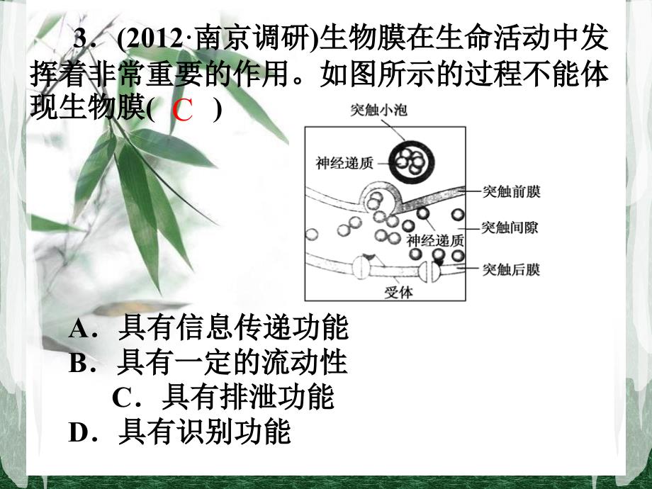 第一讲--细胞核的结构和功能课件_第2页