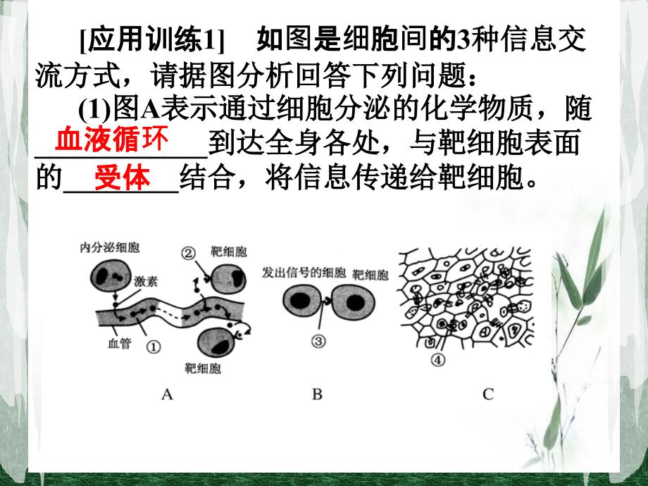 第一讲--细胞核的结构和功能课件_第3页