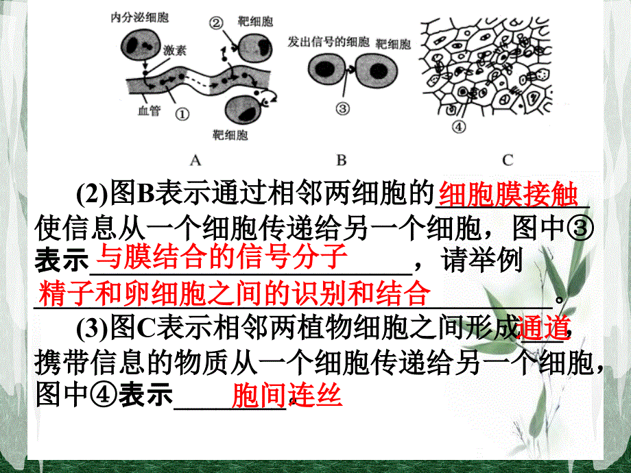 第一讲--细胞核的结构和功能课件_第4页