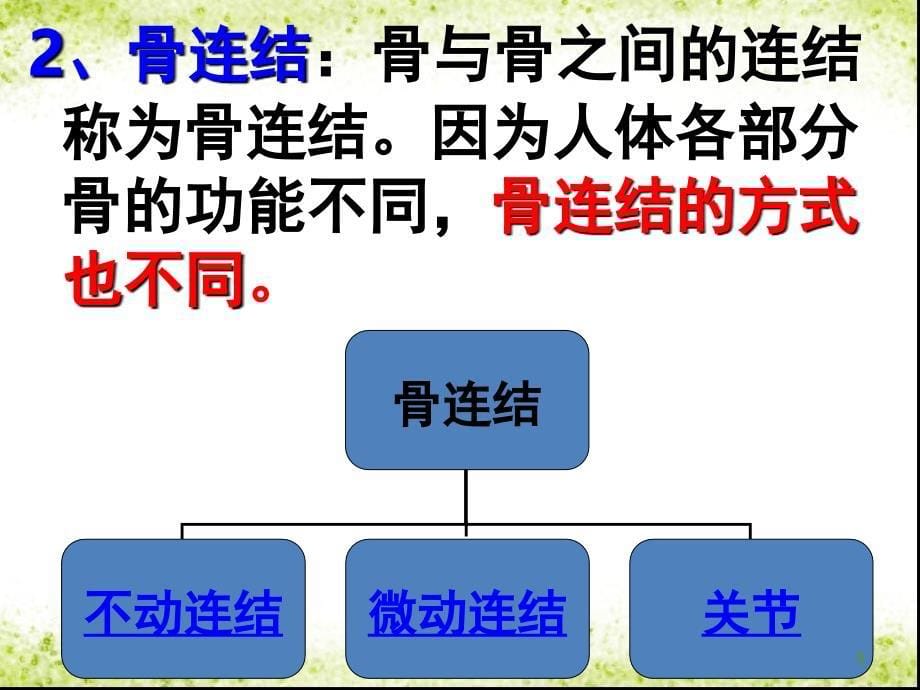 学前卫生学运动系统和呼吸系统文档资料_第5页