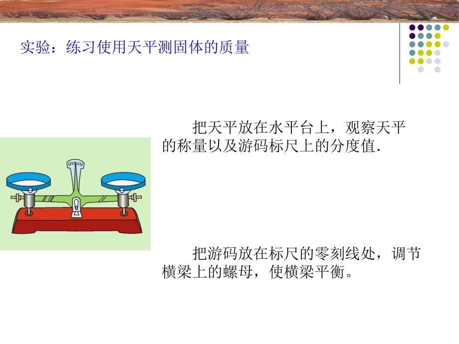 使用天平测量物体的质量PowerPoint演示文稿_第5页