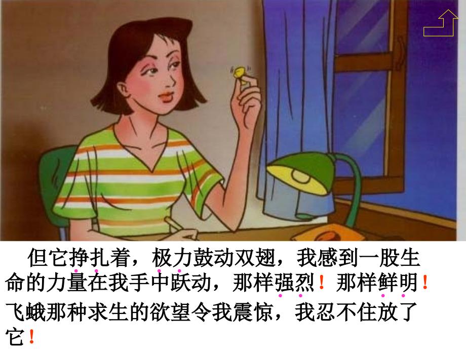 生命生命课件.ppt_第4页